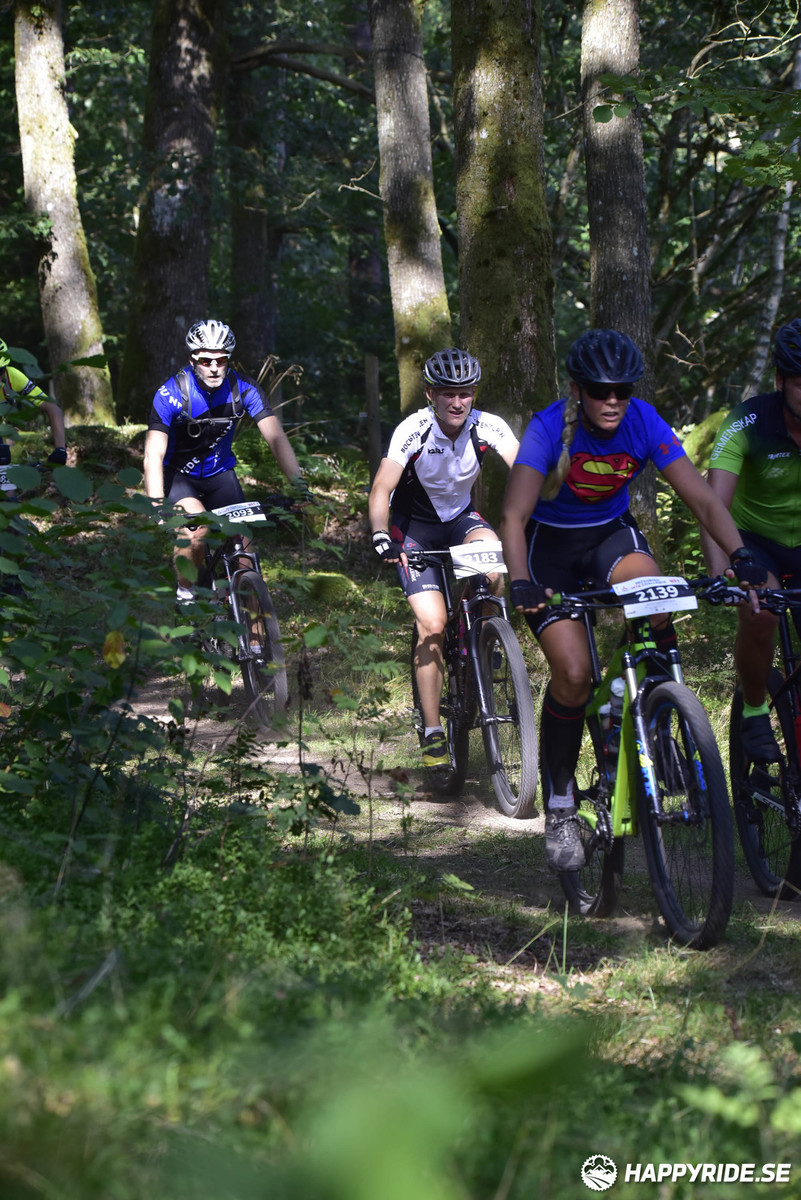 Bild från Bockstensturen 2019